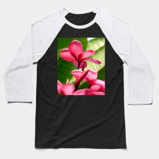 flowers-dress-lei-frangipani-floral-red-petals-shirtyshirto-45 Baseball T-Shirt